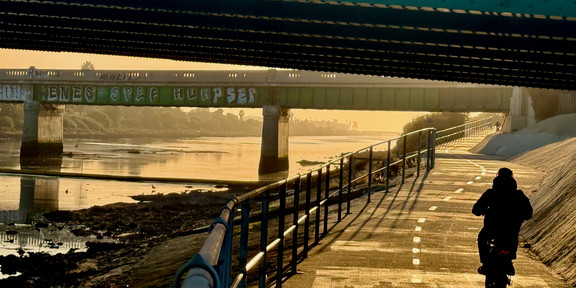 Transatlantisches Geo-Storytelling Ein Bild der Ballona Wetlands in Los Angeles
