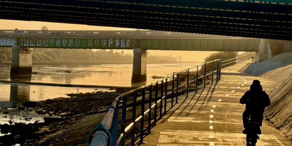 Transatlantisches Geo-Storytelling Ein Bild von der Ballona Wetlands in Los Angeles